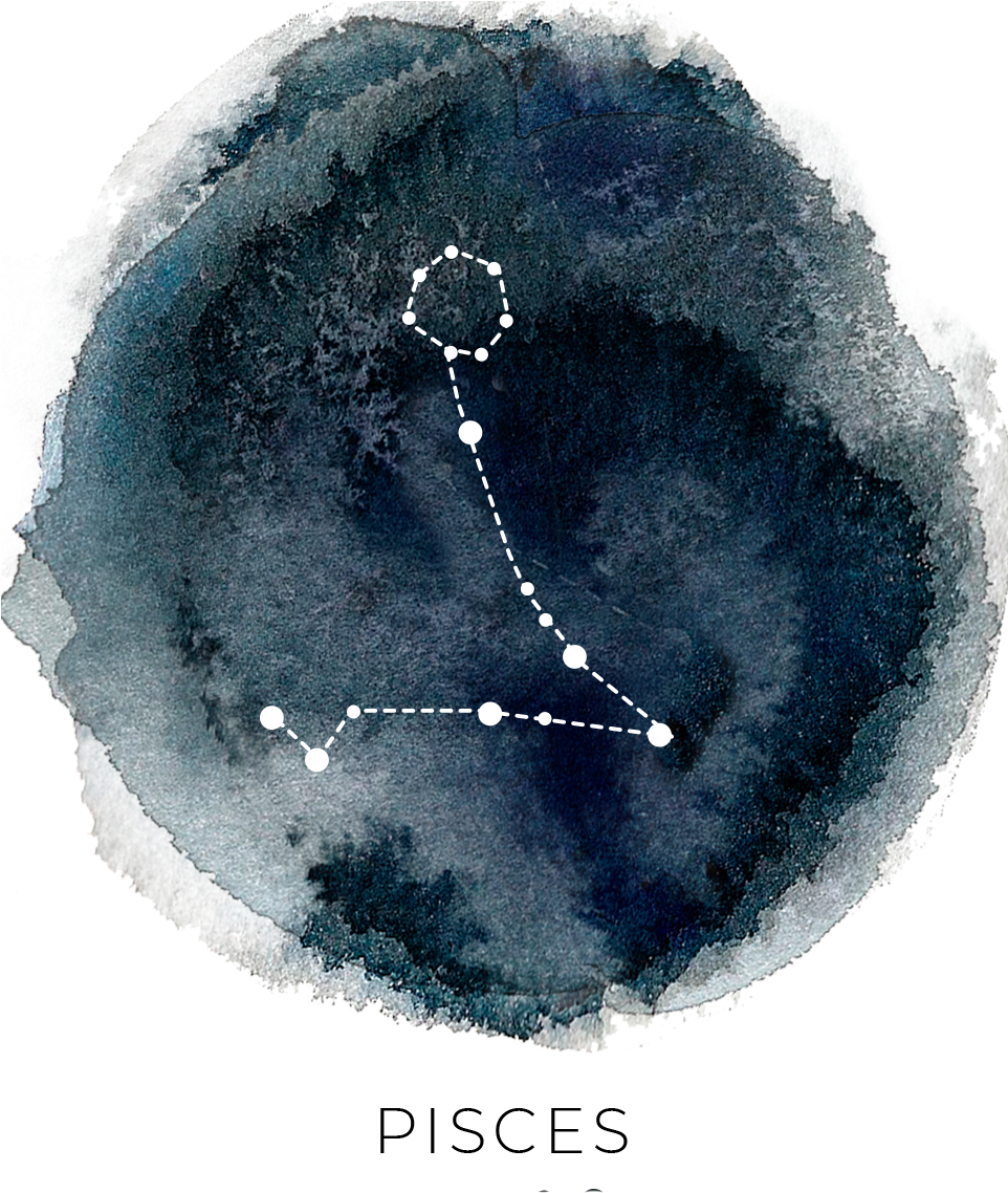 You're A Caring Individual, Pisces, Which Means You - Pisces (961x1218), Png Download