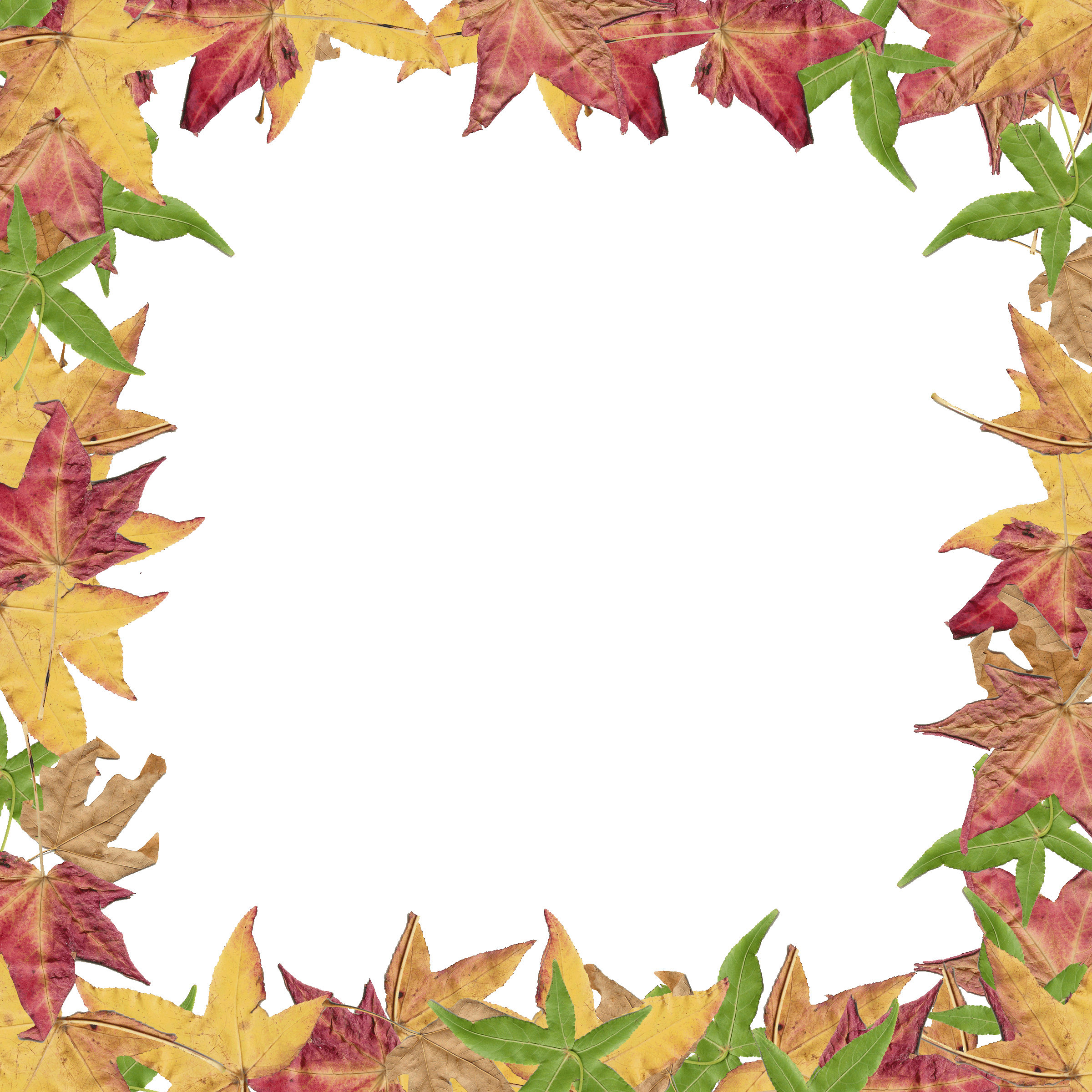 Free Clipart Fall Leaves At Getdrawings - Creative Border For Project (2400x2400), Png Download