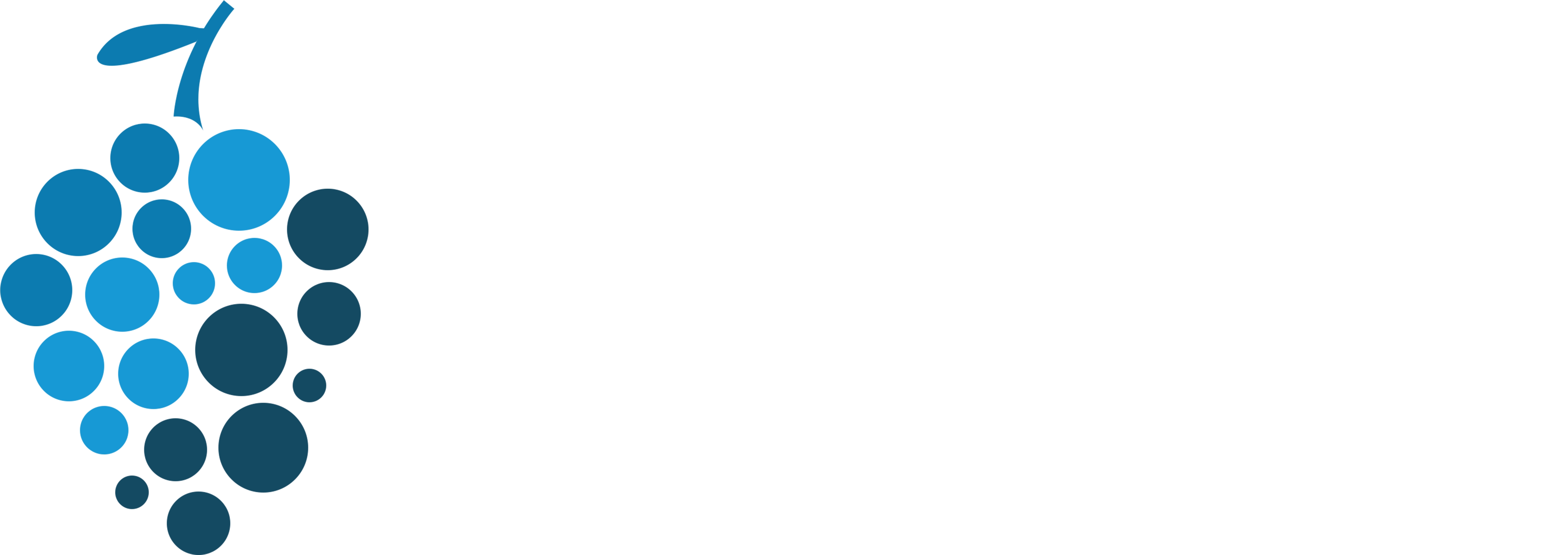 Producciones La Vid (6754x2617), Png Download