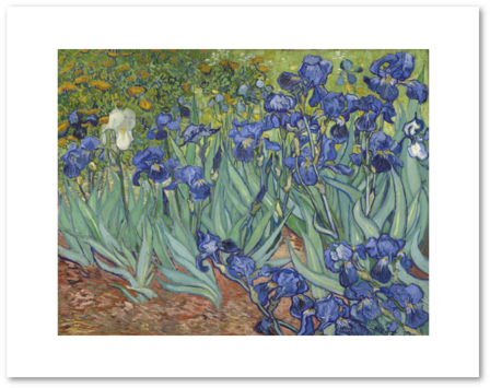 267 × 240 Pixels - Vincent Van Gogh Paintings (533x480), Png Download