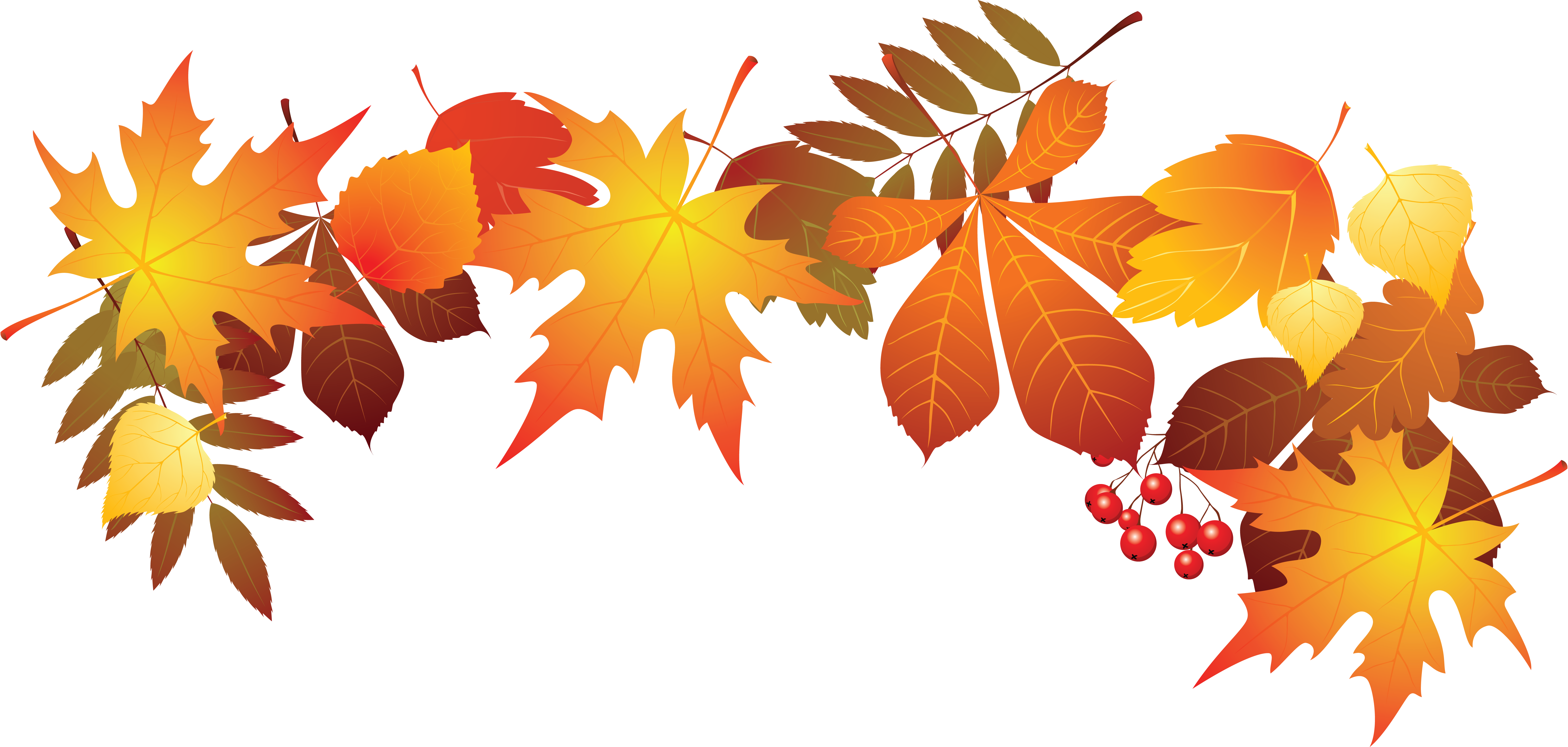 World Teachers Day Leaf Autumn - Fall Leaves Transparent Background (6513x3102), Png Download