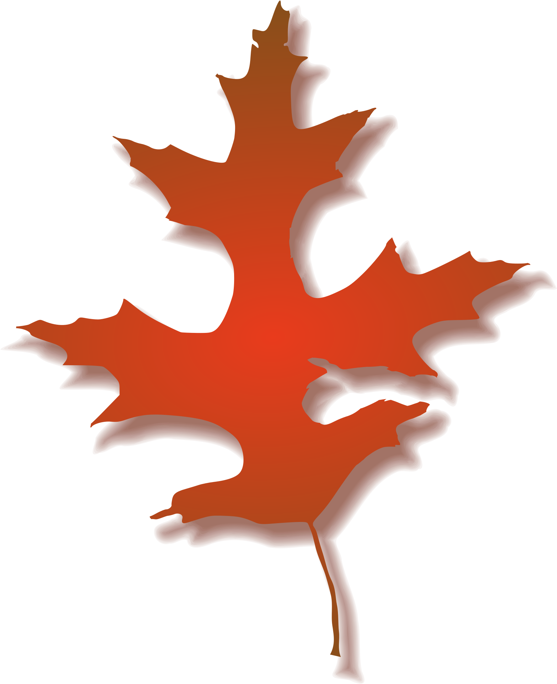 Leaf Autumn Big Image Png - Fall Oak Leaf Clipart (2119x2400), Png Download