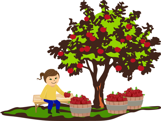 Apple Tree Clip Art - Apple Tree Cliparts (640x481), Png Download