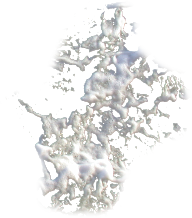 654k Realfoam1 Dgw A 06 Feb 2009 - Christmas Tree (630x714), Png Download