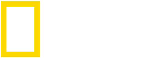 National Geographic Strives To Offer Intelligent, Relevant - National Geographic (800x500), Png Download