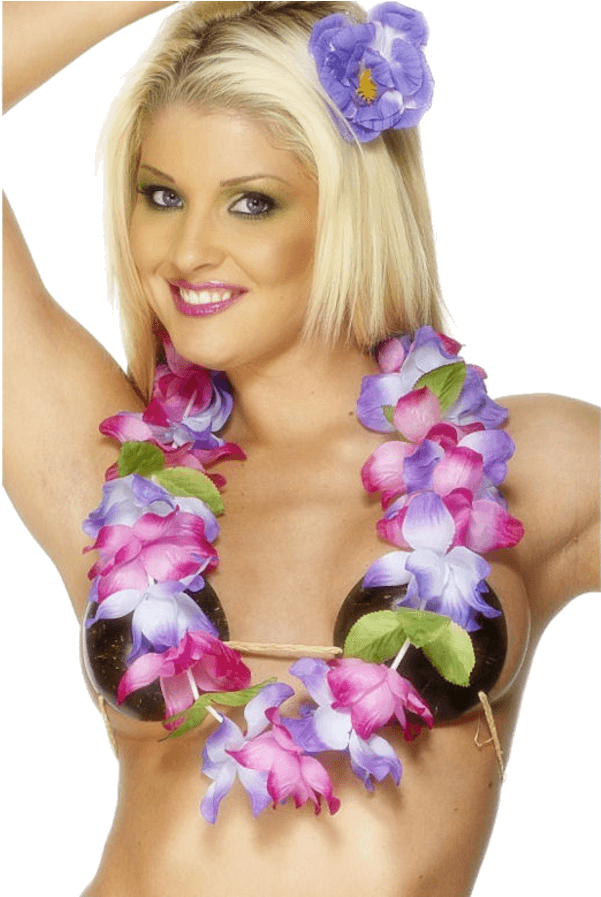 Hawaiian - Hawaii Jelmez (600x951), Png Download