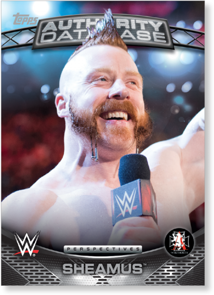 Gallery - Wwe 2k14 (700x700), Png Download