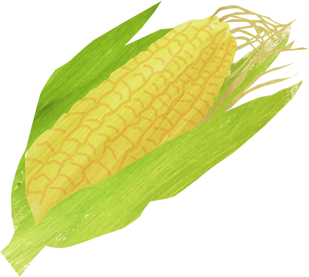 Corn And Bean Salad - Corn On The Cob (1200x630), Png Download