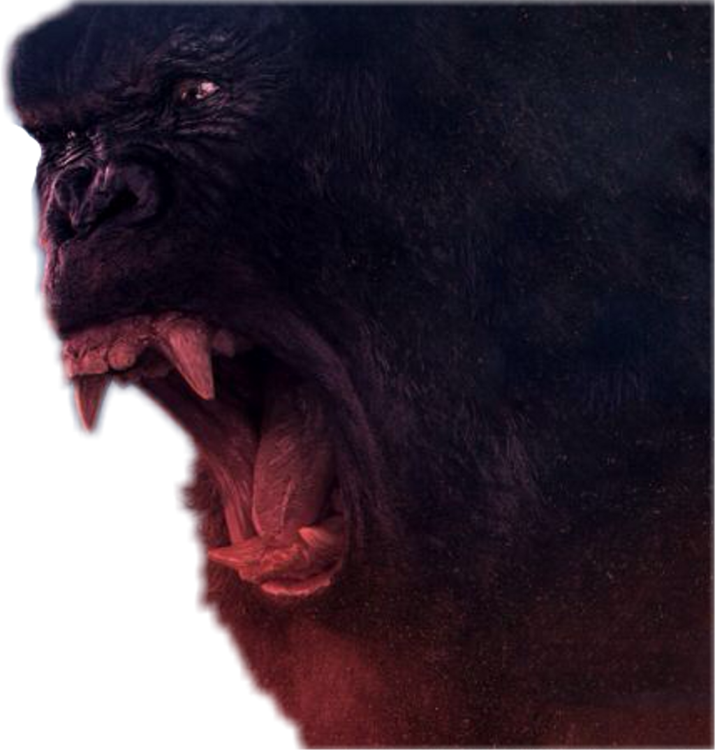 Mq Sticker - Monkey (1024x1074), Png Download