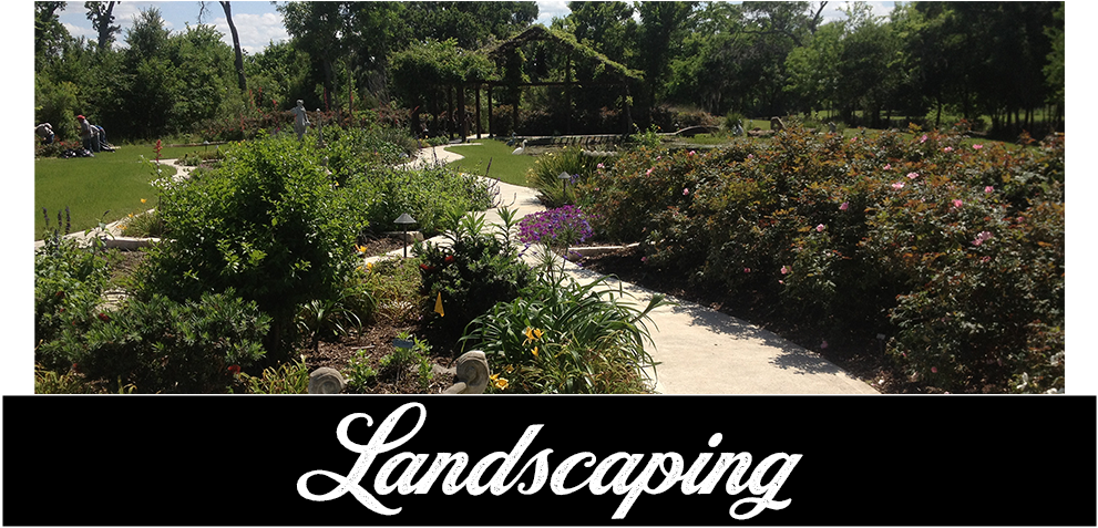 Landscapign, Residential Landscaping, Commercial Landscaping - Botanical Garden (1000x495), Png Download