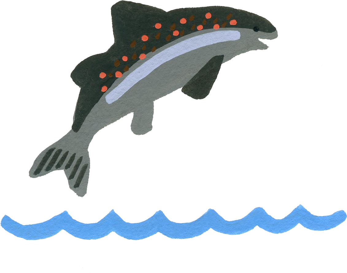 2017 - - Humpback Whale (1209x996), Png Download