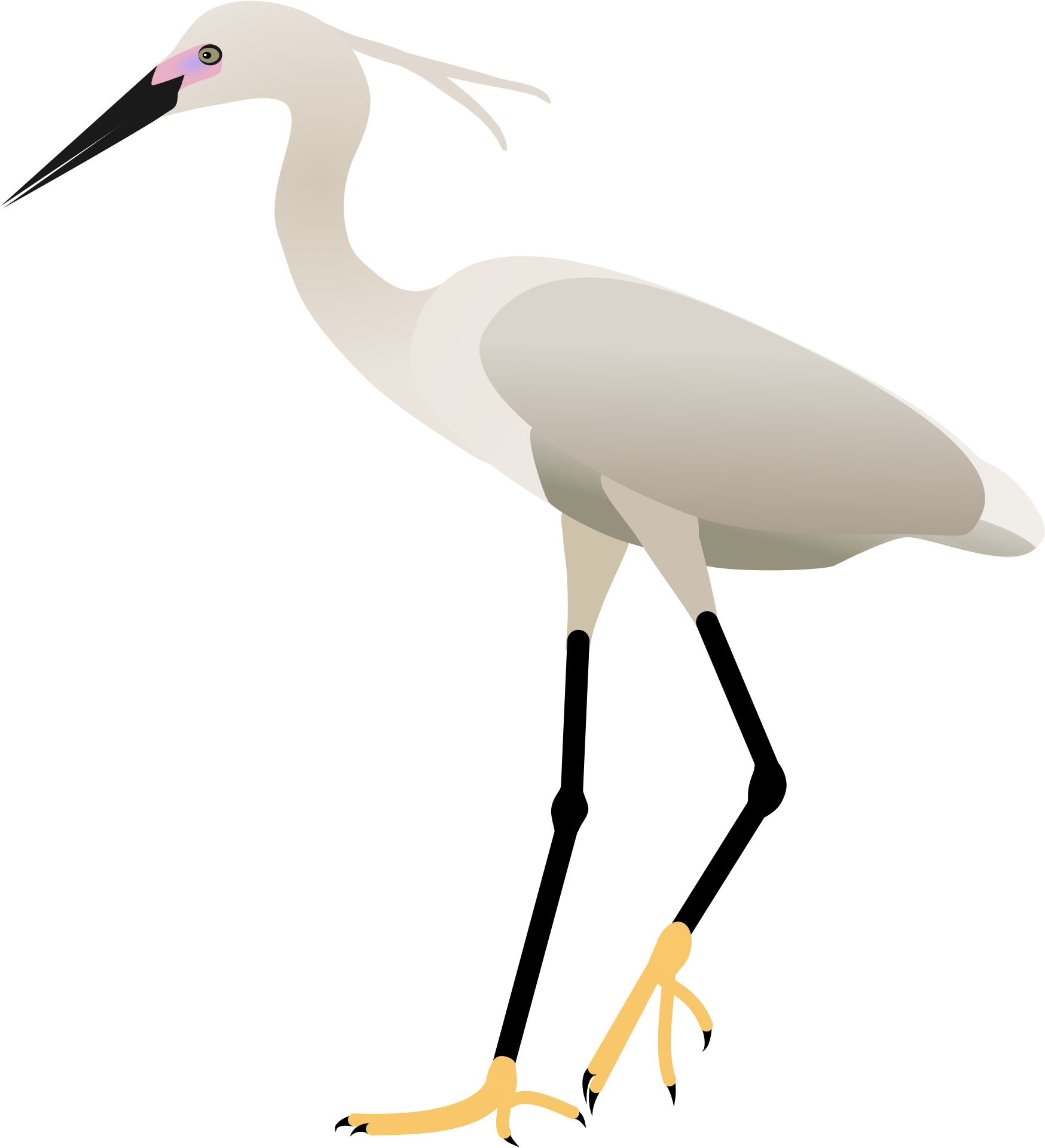 2000 X 2121 3 - Egret Png (2000x2121), Png Download
