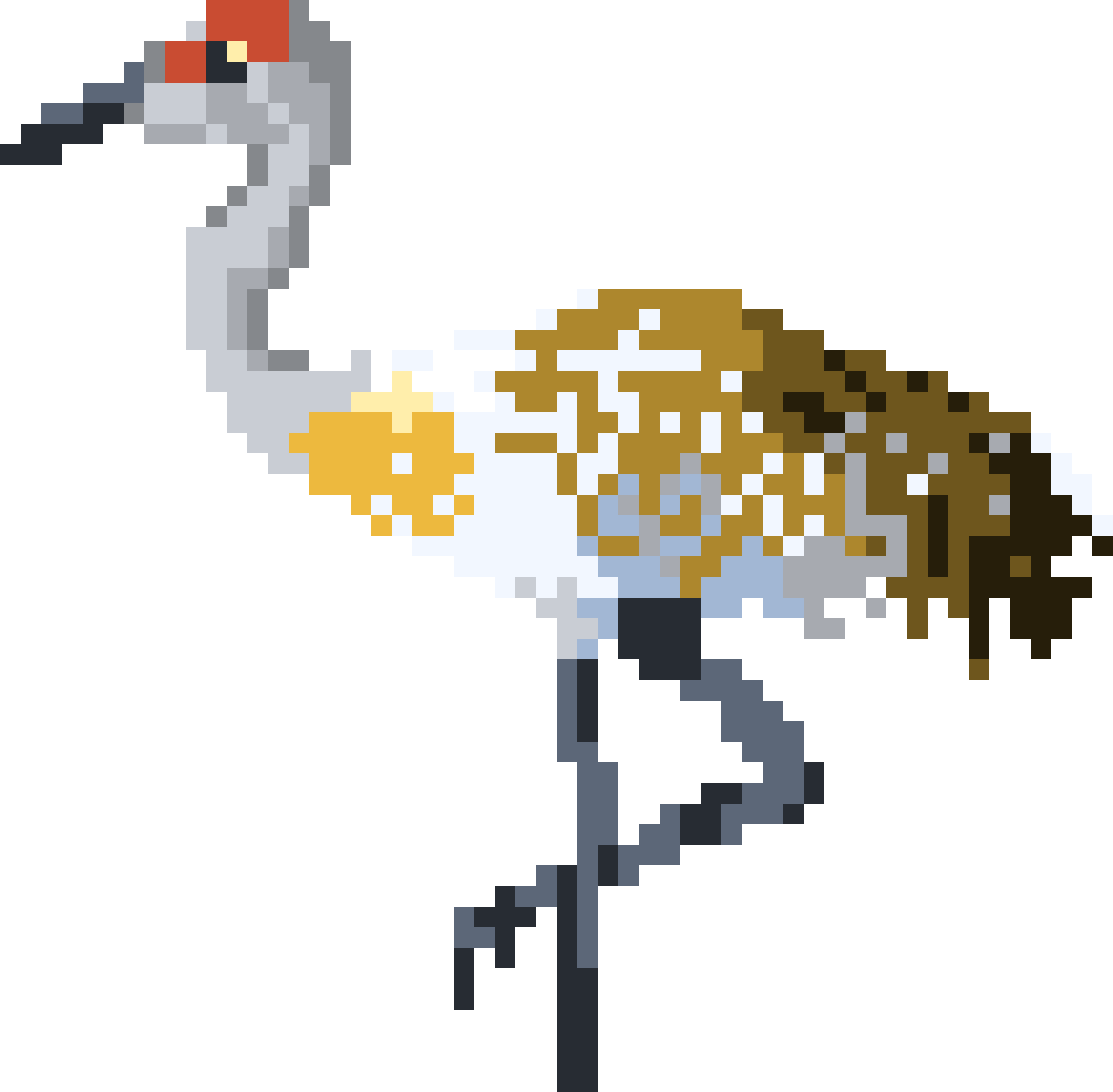 Sandhill Crane - Seabird (6200x5700), Png Download