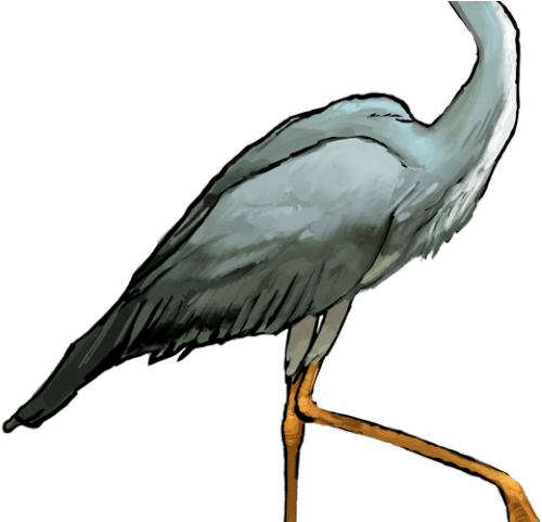 Heron Clipart Crane Bird - Heron (640x480), Png Download