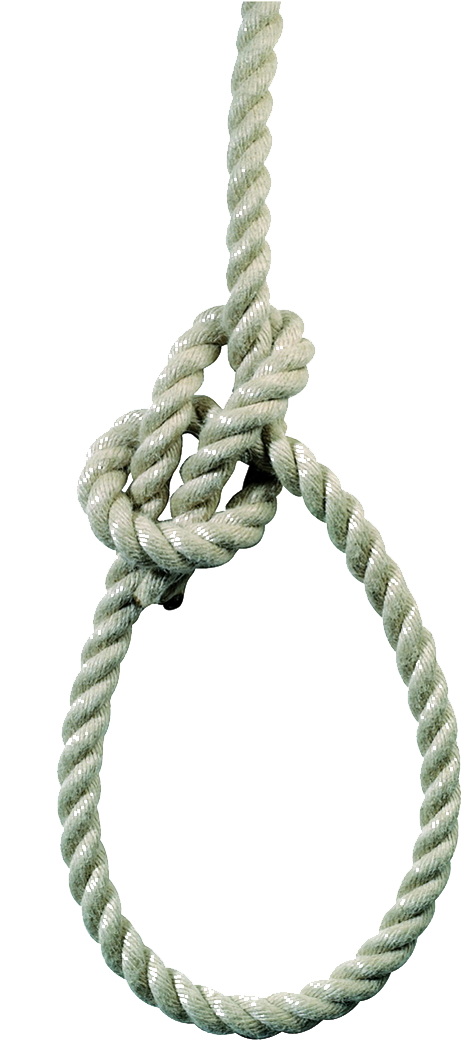 Picture Library Library Hemp A Transprent Png Free - Transparent Hang Rope Png (560x1066), Png Download