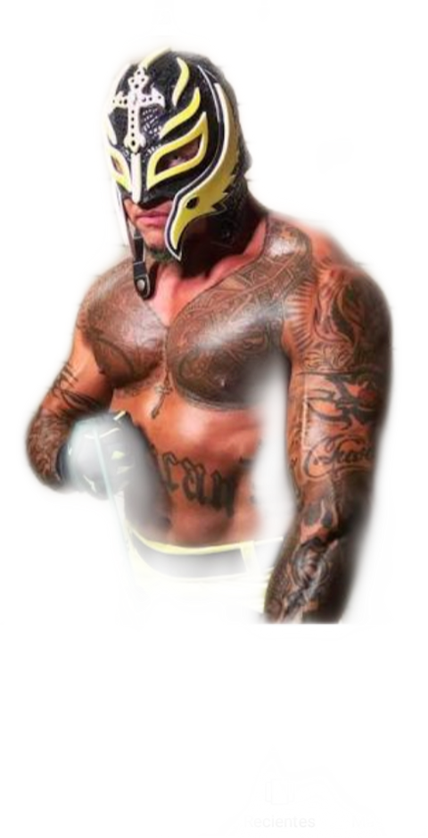 Rey Mysterio Jr 2018 (480x939), Png Download