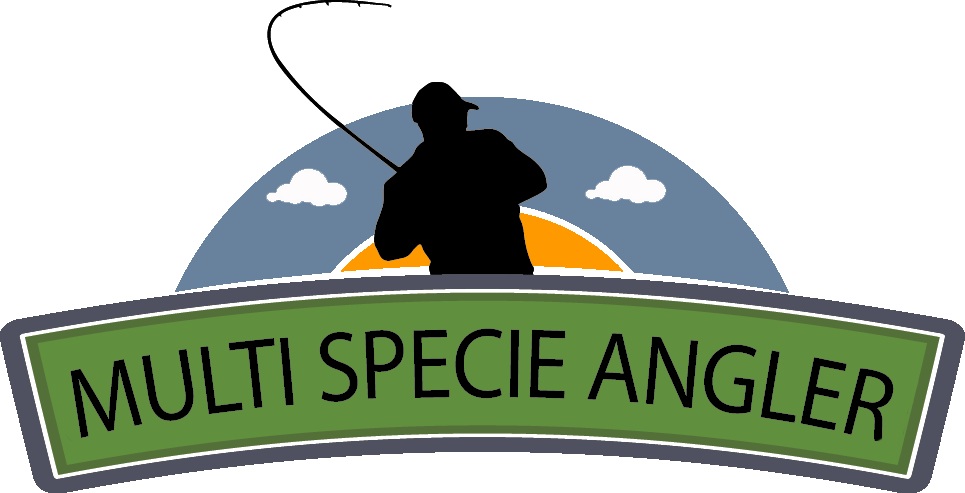 Multi Specie Angler - Illustration (965x493), Png Download