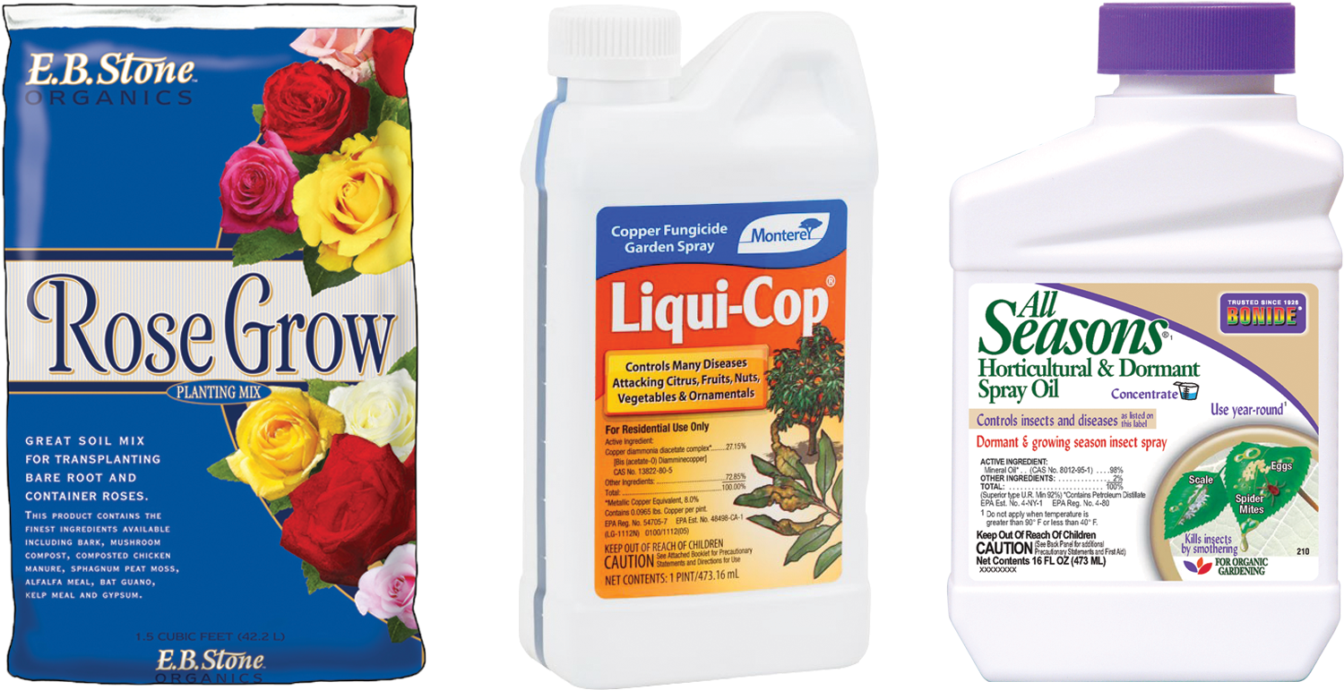 If You Are Looking To Add Roses To Your Garden, This - Rose Planting Soil (1570x770), Png Download