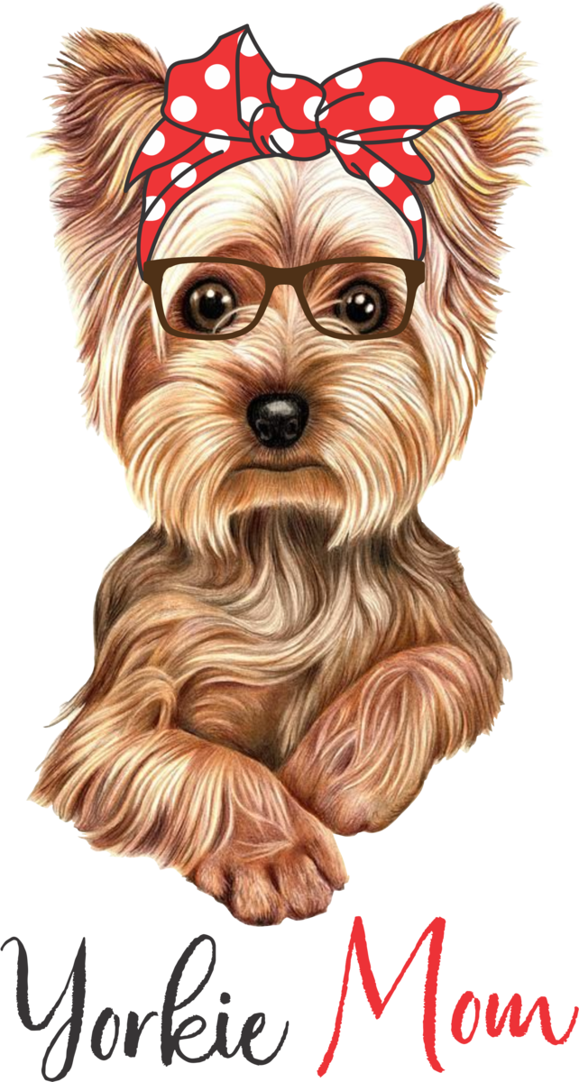 Drawings Of Dogs Yorkshire Terrier (642x1200), Png Download