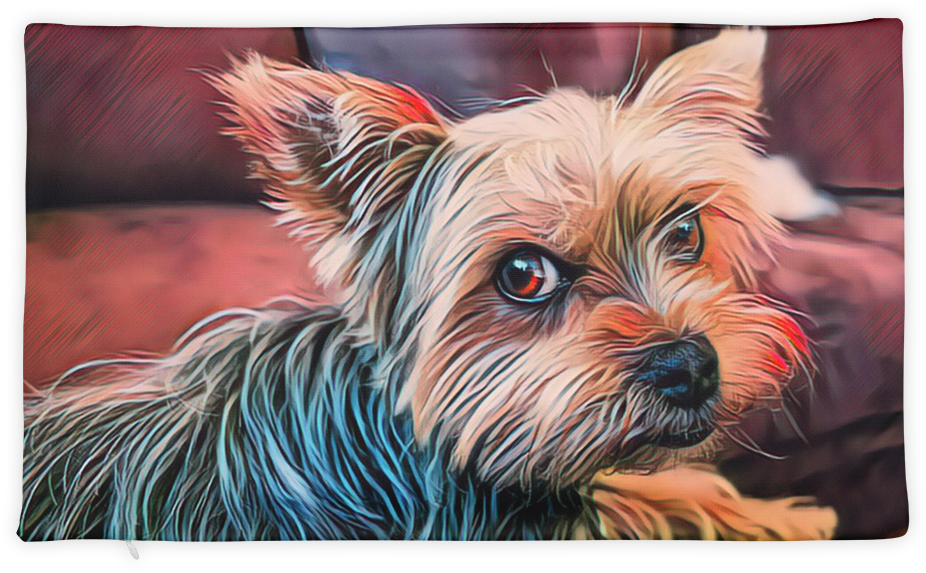 Yorkie Pillow Case - Chien Qui Reste Petit Toute Sa Vie (1000x1000), Png Download