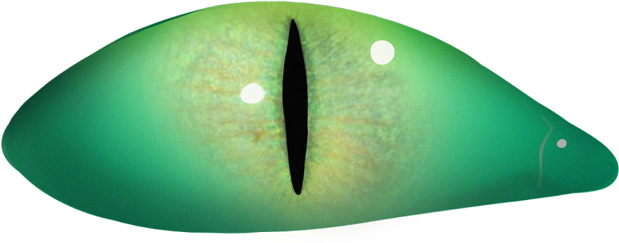 Scary Eyes Png - Drop (1600x1200), Png Download