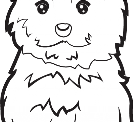 Puppy Clipart Yorkie - Yorkie Clip Art (640x480), Png Download