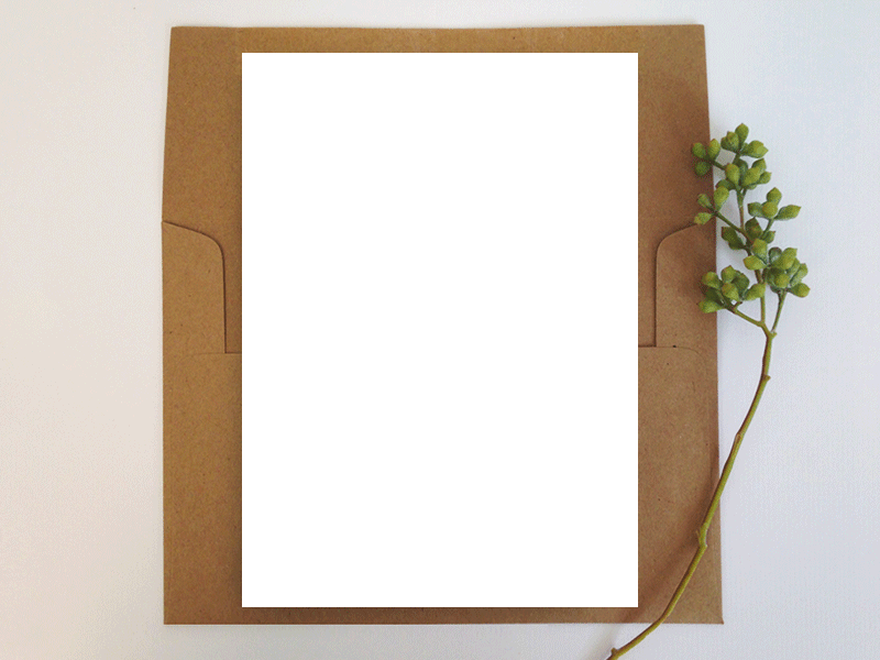 Zoom - Wood (800x600), Png Download