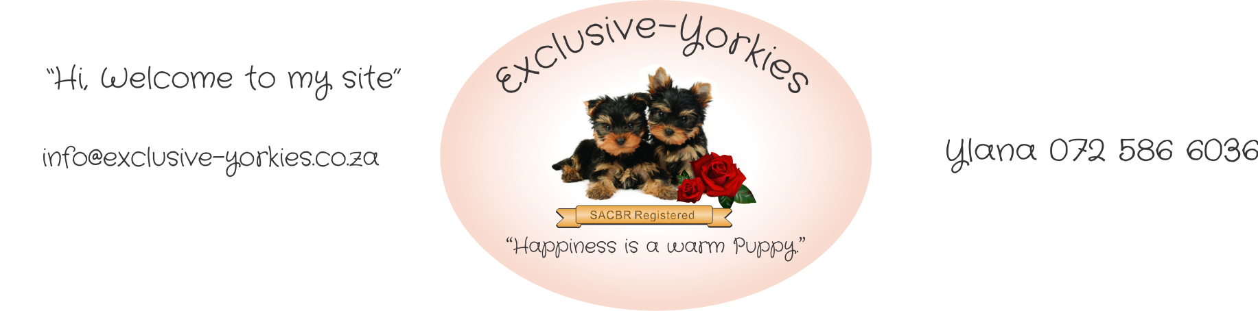 Logo - Yorkshire Terrier (1833x454), Png Download