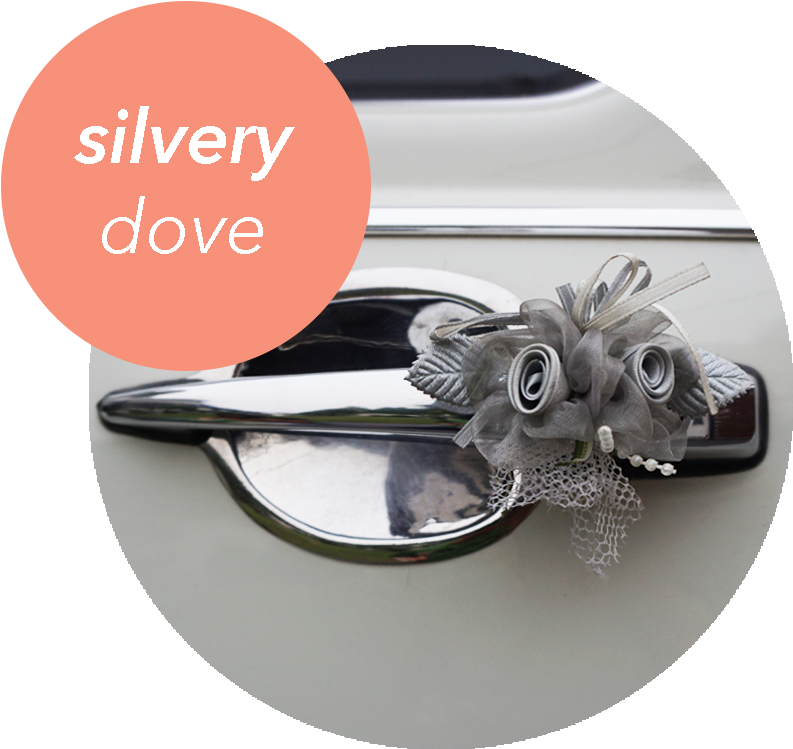 Silvery Dove - Titanium Ring (862x783), Png Download