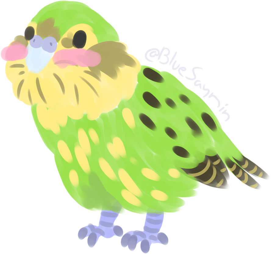 Parakeet Clipart Kakapo - Parrot (1000x1000), Png Download