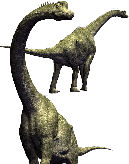Picture - Brachiosaurus Skeleton 3d Model Download (513x703), Png Download