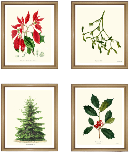 Christmas Holiday Print Set - Christmas Tree (500x629), Png Download