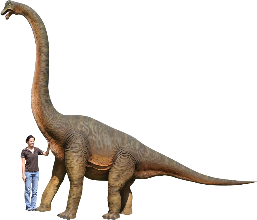 3x3m - Dinosaur Brachiosaurus Hd (900x900), Png Download