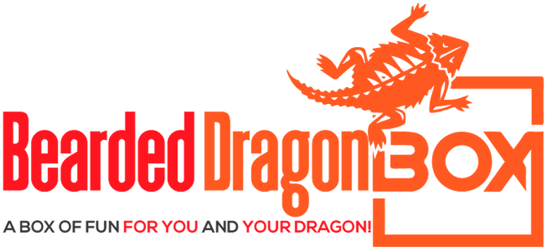 Support@beardeddragonbox - Com - Graphic Design (940x379), Png Download
