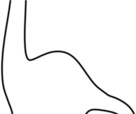 Brachiosaurus Clipart Long Neck Dinosaur - Monochrome (640x480), Png Download