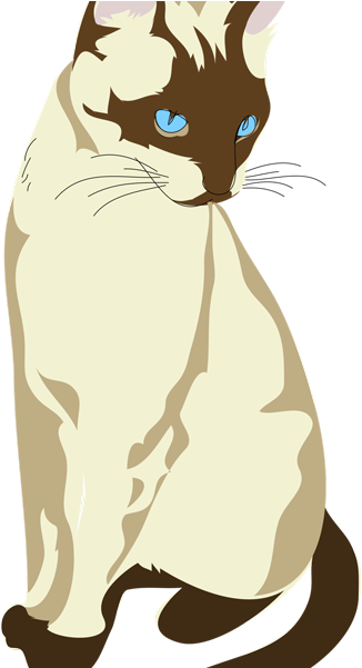 Cat Drawing (700x600), Png Download