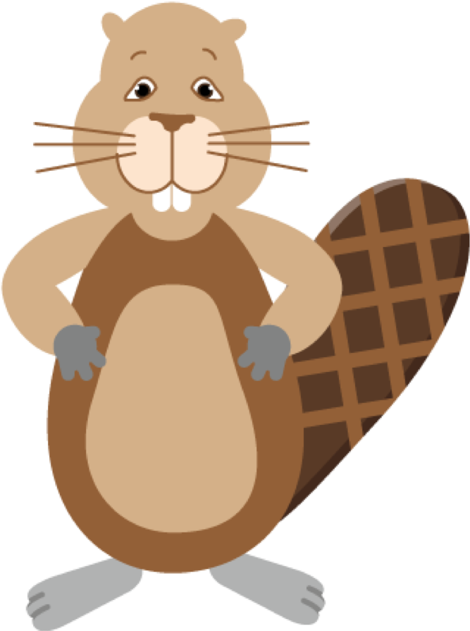 Beaver Straight - Cartoon (1006x1006), Png Download