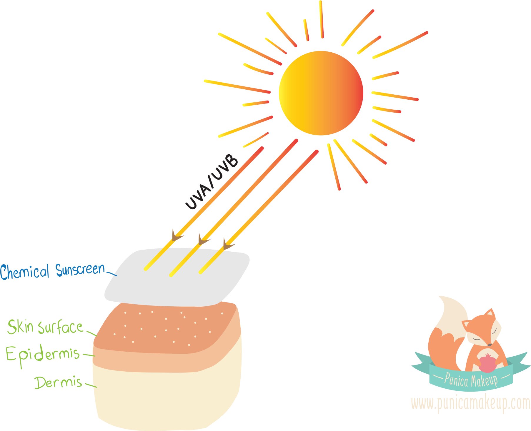Skin Cancer Clip Art - Uv Rays Clip Art (2400x1600), Png Download