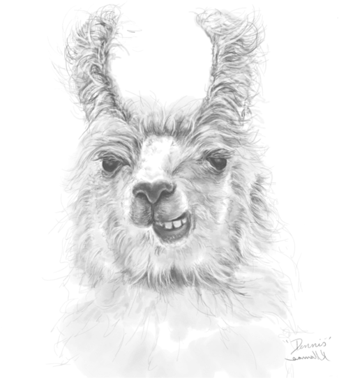 Bleed Area May Not Be Visible - Sketch (525x700), Png Download