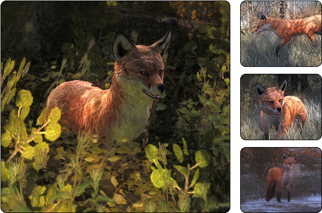 The Red Fox Is The Largest Of The True Foxes And The - Hunter Call Of The Wild Fox (700x468), Png Download