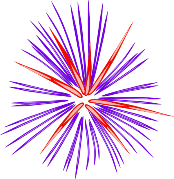 Pink Fireworks - Fireworks Clipart Black And White Transparent (600x617), Png Download