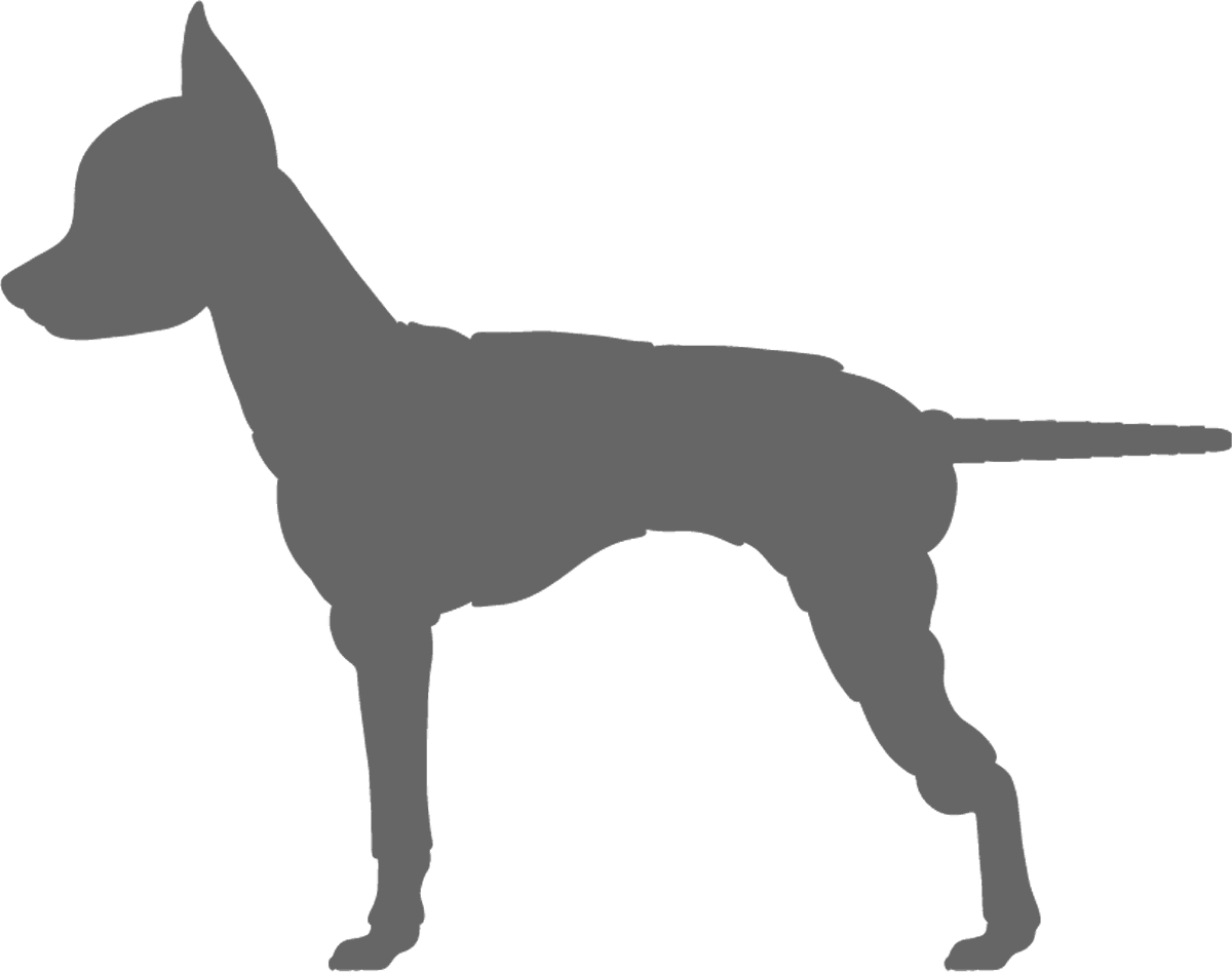 Parent Directory - Ancient Dog Breeds (1200x947), Png Download