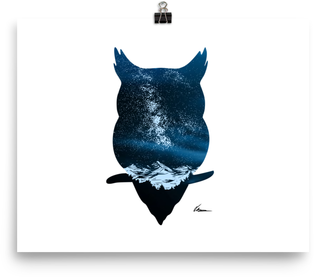 Manta Ray (1000x1000), Png Download