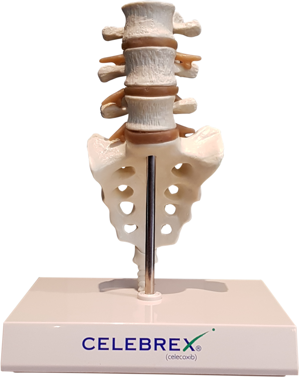 Buying Promethazine From Canada - Celebrex (1000x1500), Png Download