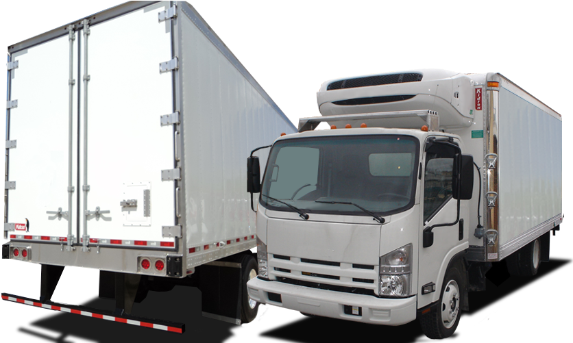 Refrigerated Truck Bodies - Isuzu Npr (843x500), Png Download