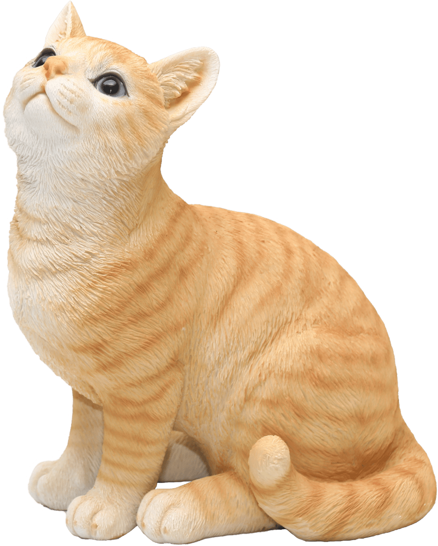Sitting Orange Cat - Arabian Mau (2000x1333), Png Download