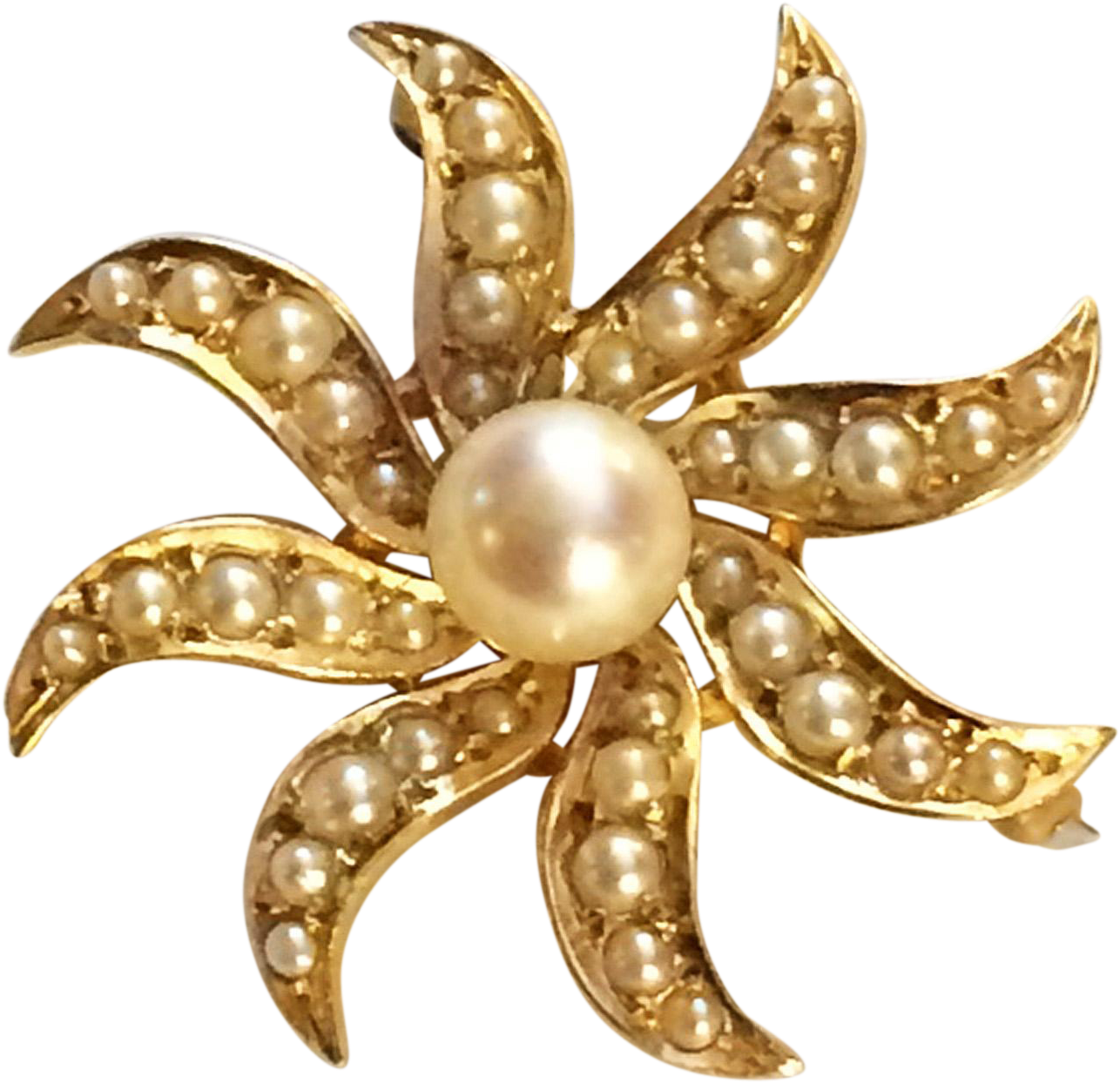 Victorian Revival Starburst Pin Brooch Pendant In 14k - Pearl (1285x1285), Png Download