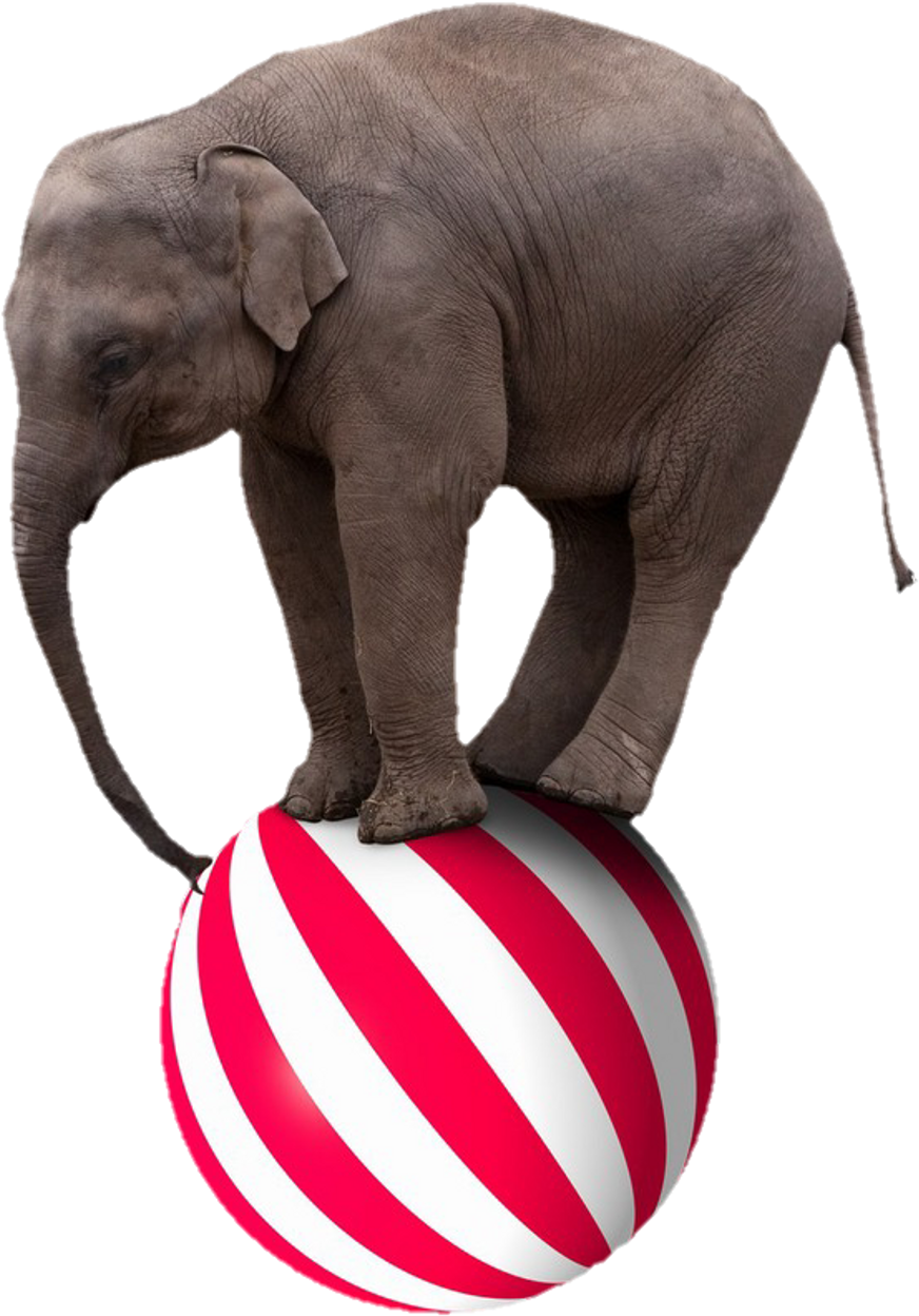 Elephant Sticker - Elephant On A Beach Ball (1024x1382), Png Download