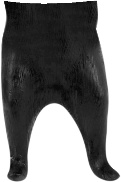 Standing Bear Rear - Spandex (600x600), Png Download