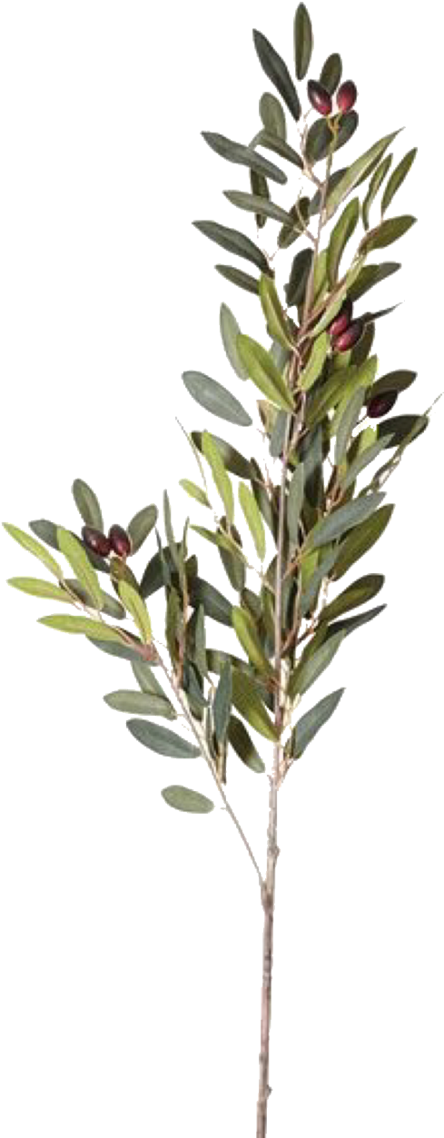 Pngs /like Or Reblog Used/ - Flower (1280x1280), Png Download